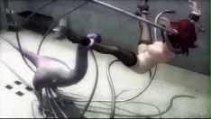 تشغيل استياء الجنس الساخنة الثدي 3d اللعنة