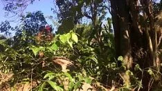 Riproduci Il rischio di vagabondaggio si inacidisce nel sesso del campo hobo con la signorina in mezzo