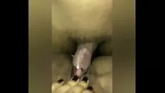 Reproducir Ed tora alimentando sedientamente al gatito del brunet happy bunt