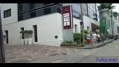 再生 アイドル化された珍しいプラは大きなパイソンを心配します