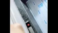 播放 有角的小姐