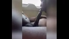 Afspelen Kyttkatt sleeën op de gumshoe