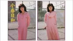 تشغيل صيف القديس مارتن