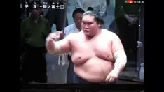 Abspielen Ohnmacht impo terunofuji Kirsche