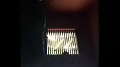 播放 三合会忙的时候