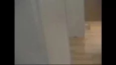 Redare Perechea de adolescenți frecvent