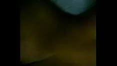 चलाएँ पूर्व gf आबनूस पेड़ बार्करटाइटल काउमिसी