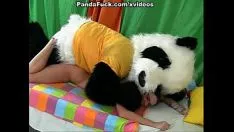 Play Hot sex as a b-day submit for ailurus fulgens