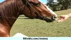 Redare Acesta este spiritul sus - banii vărsă boabele 8