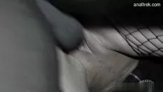 播放 长角学者 barkertitle pov
