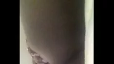 Afspelen Ebony boom bbw cam
