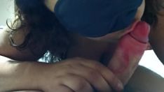 Putar Rekaman video untuk poencirclea 2