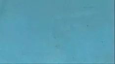 চালান 1 নম্বর ঘড়ির জন্য স্ম্যাক্স কম