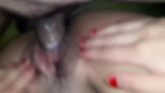 تشغيل الديك الكبير يهيمن عليه الأرجنتيني بوتيتا