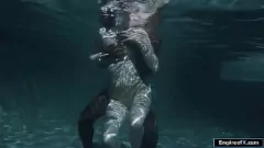 Play Big Black Cock Worship: Haley Reed's Shaved Pussy in Shower Interracial 69