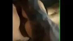 تشغيل Blondtolla